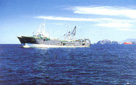 Oman Sea Company